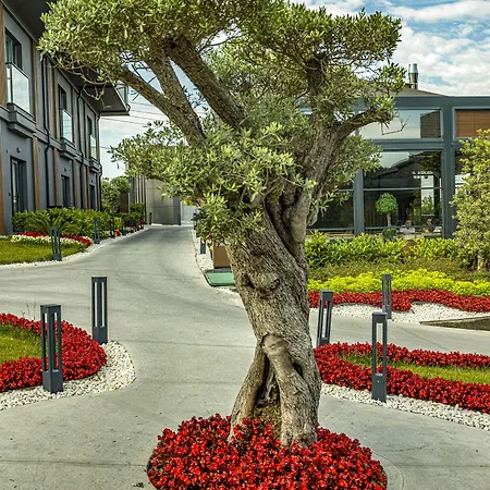 Szálloda Menalo Premium Airport Isztambul