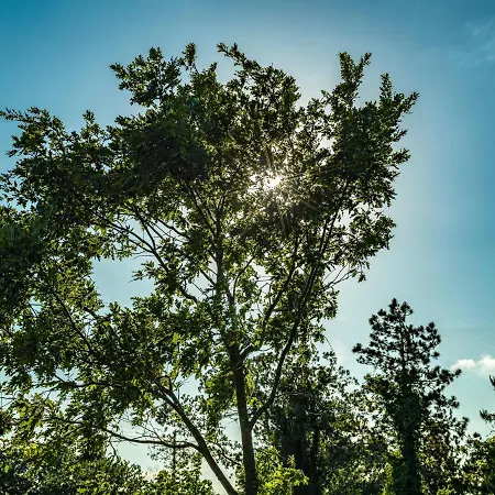 فندق Menalo Premium Airport اسطنبول