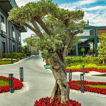 Menalo Premium Airport